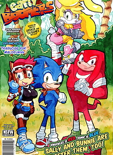  pics Early Boomers, sonic the hedgehog , bunnie rabbot , full color , furry  full-color